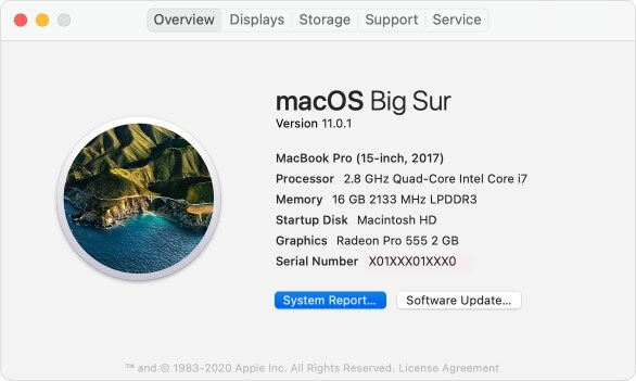Verifique el informe del sistema Mac