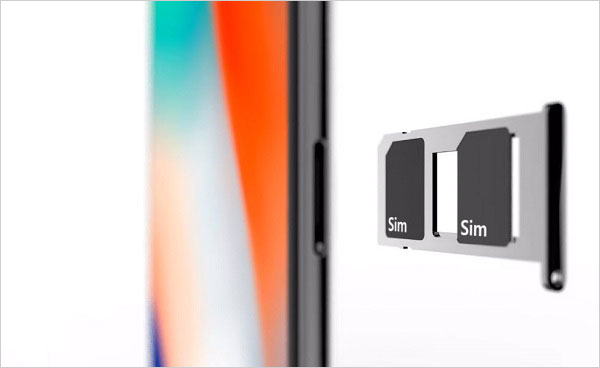 dual Sim