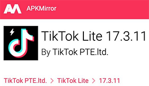 Adquirir Tiktok en India después de la prohibición con el proveedor de APK